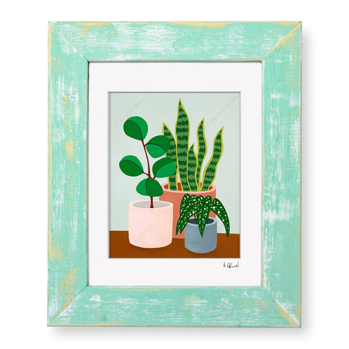 PLANT #2602